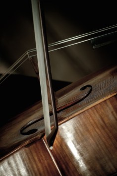 whats-on-your-bucket-list