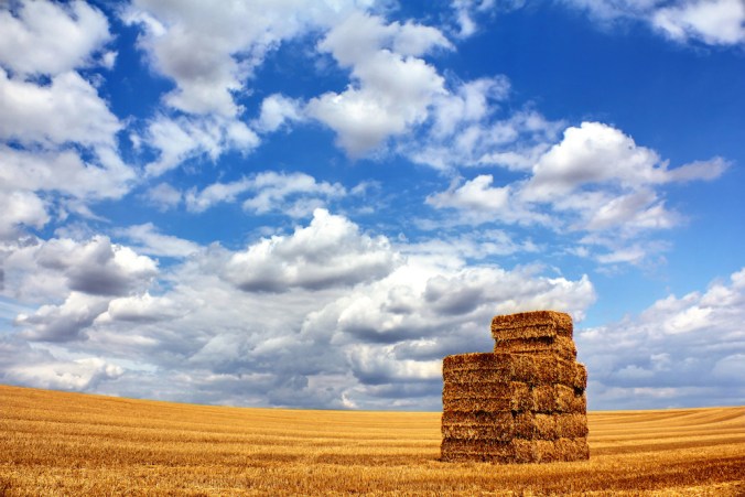 Field under a cloudy sky